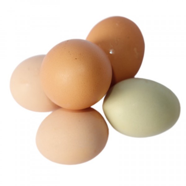Free range eggs (dozen)