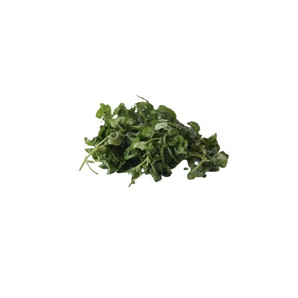 Brazilian spinach (pack)